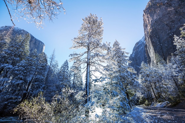 Temporada de inverno no Parque Nacional de Yosemite, Califórnia, EUA