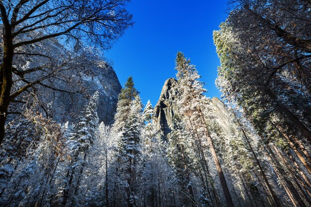 Temporada de inverno no parque nacional de yosemite, califórnia, eua