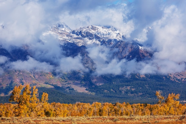 Temporada de outono colorida nas montanhas