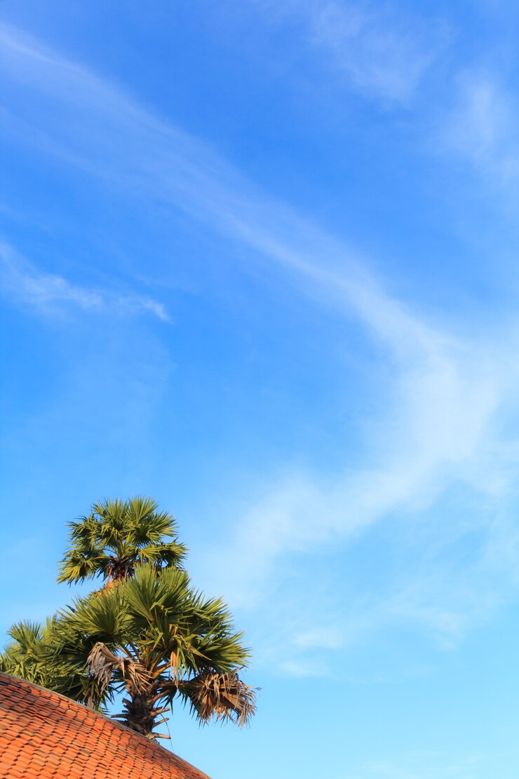 Foto temporada de verão