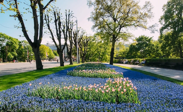 Temporada de floración de primavera en parque público urbano
