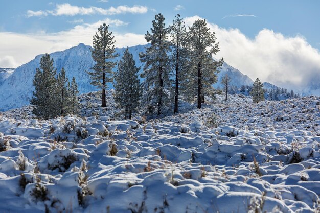 Temporada de invierno en las montañas.