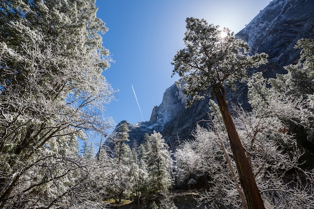 Temporada de invierno en el Parque Nacional Yosemite, California, EE.