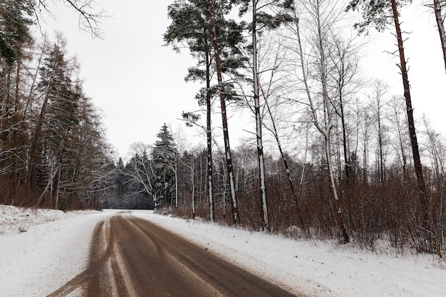 Temporada de invierno. Pequeño camino rural cubierto de camino de nieve a lo largo del cual crecen árboles forestales. El fue tomado cerca. En la calzada de tierra y franja de coche Vision