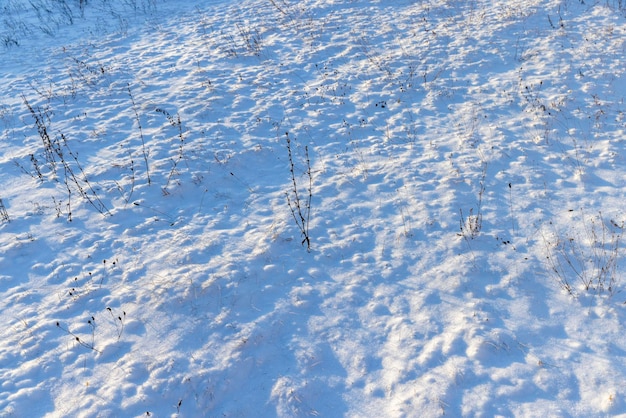 Temporada de invierno con ventisqueros después de las nevadas nieve fresca y limpia en la naturaleza en la temporada de invierno