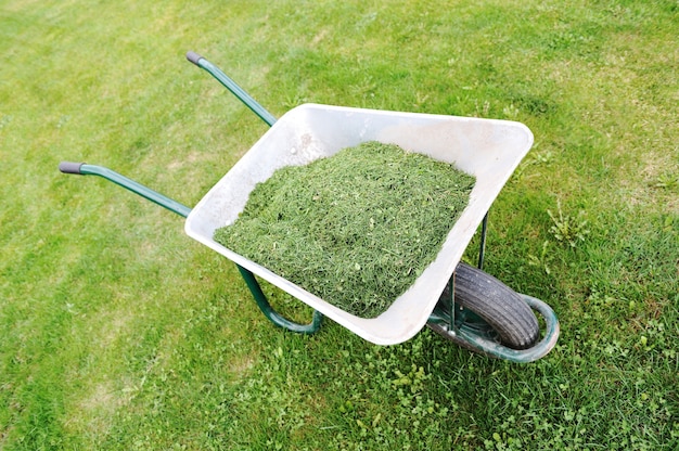 Temporada de jardinería - césped verde con carretilla