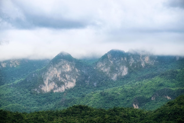 Temporada de lluvia de montaña en niebla