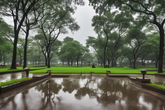 temporada de lluvias jardín público verde parque narure