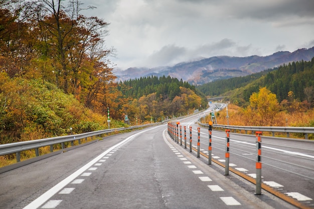 La temporada de otoño y la calle en el otoño Hokkaido Japón.