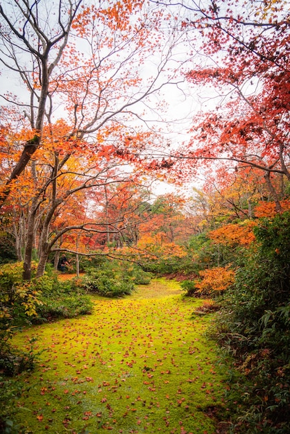 Temporada de otoño en Japón