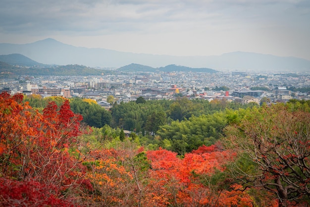 Foto temporada de otoño en japón