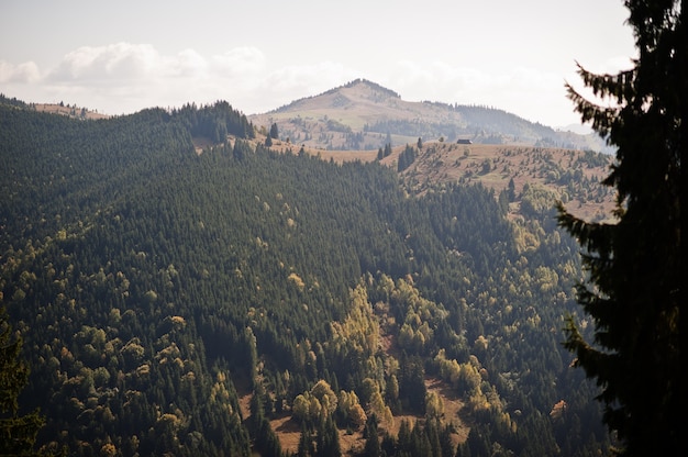 Temporada de otoño en las montañas. Cárpatos, Ucrania. Majestuosa vista.