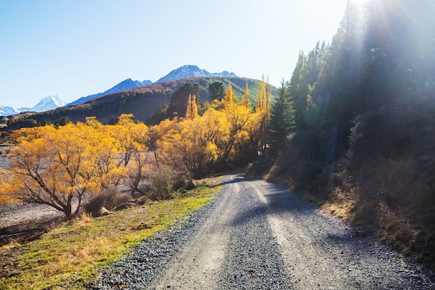 Temporada de otoño en las montañas de Nueva Zelanda