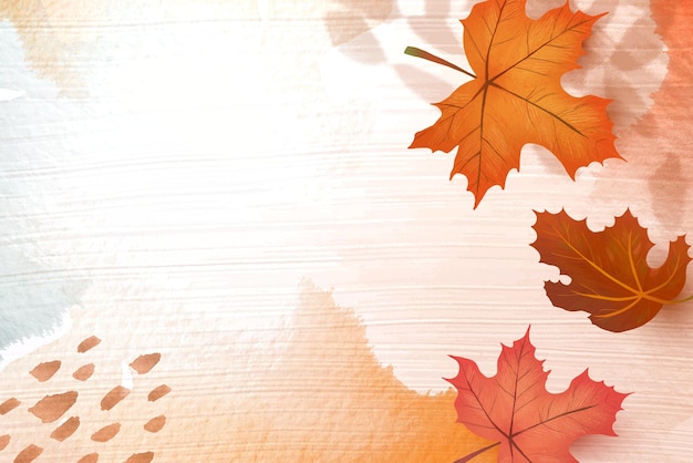 La temporada de otoño png fondo transparente con hojas de arce