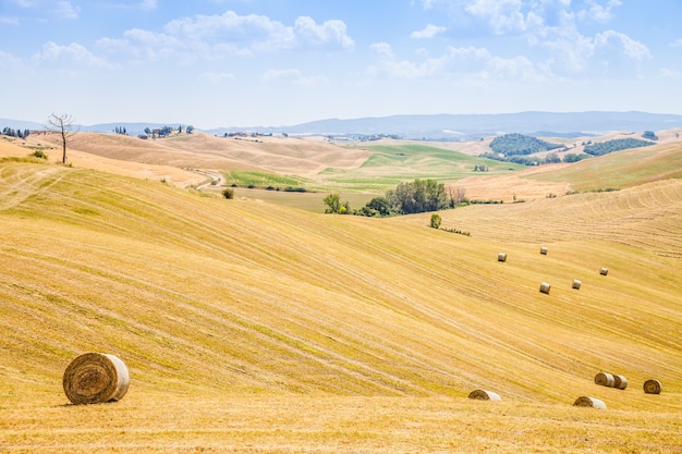 Temporada de verano en el país de la Toscana, cerca de Siena