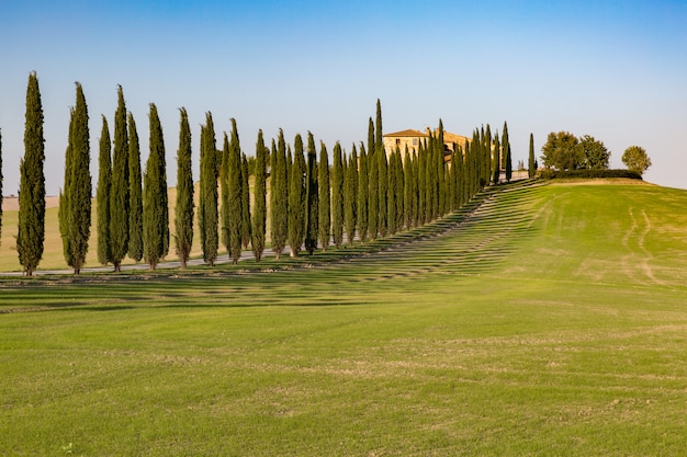 Foto temprano en la mañana en el campo en la toscana