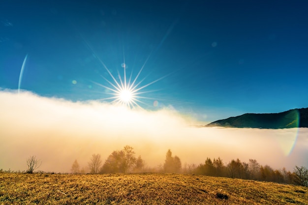 Temprano en la mañana y la hierba congelada cubierta de niebla bajo el sol brillante