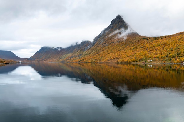 Temprano en la mañana de otoño en un fiordo en un día nublado Noruega