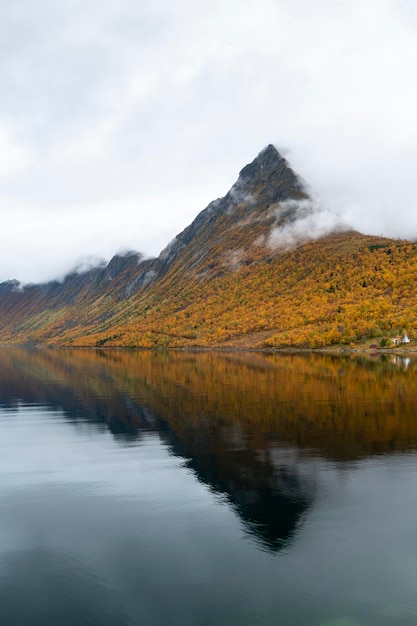 Temprano en la mañana de otoño en un fiordo en un día nublado Noruega