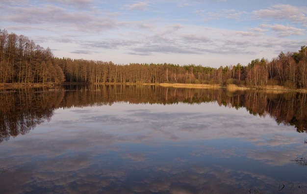 Temprano en la mañana soleada en un lago del bosque región de Moscú Rusia