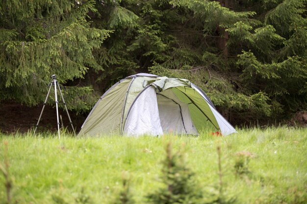 Foto tenda en el bosque