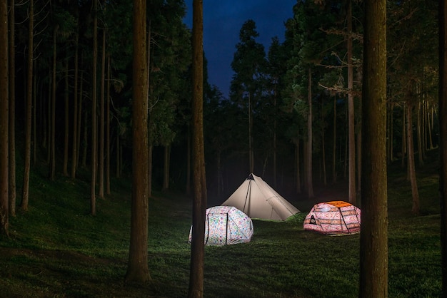 Tenda en el campo contra los árboles por la noche