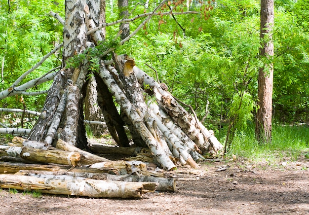 Tenda feita de galhos em uma floresta