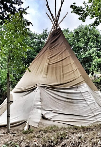 tenda indígena americana feita de pele