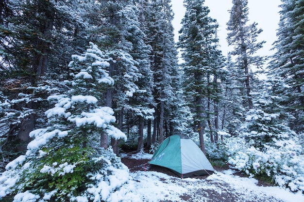 Tenda na floresta de inverno