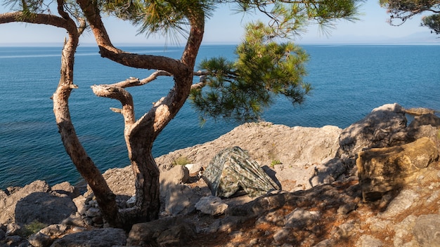 Tenda sob um pinheiro em uma costa rochosa, acampamento turístico, local de descanso de verão