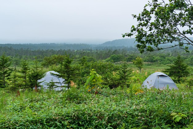 Tenda turística entre a grama em um vale nublado