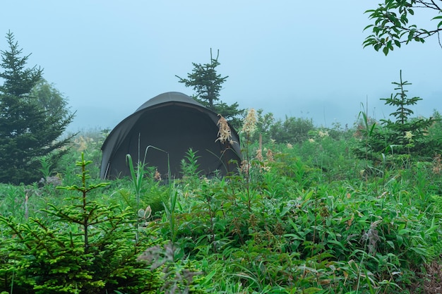 Tenda turística entre a vegetação na paisagem matinal nebulosa