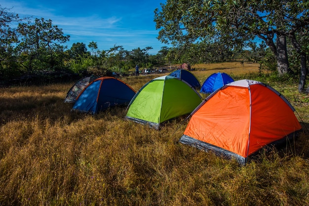 Tendas são uma obrigação para os caminhantes. protege contra o sol e os insetos.