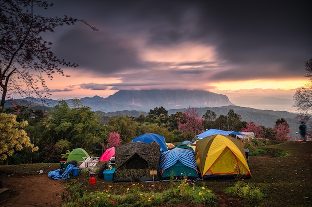 Tendas turísticas de cores lançando esperando o nascer do sol na montanha Doi Luang Chiang Dao com floresta nublada e primavera no parque nacional em San Pa Kia Chiang Mai Tailândia