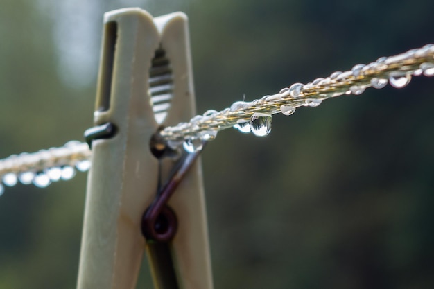 Tendedero de plástico con pinza para la ropa y gotas de rocío. reflejo de árboles en gotas de agua. árboles borrosos sobre fondo verde