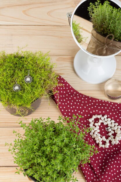 Tendencias de belleza y moda: collar, aretes con perlas, vestido, espejo y reflejo con hierba/planta sobre mesa de madera. foto vertical