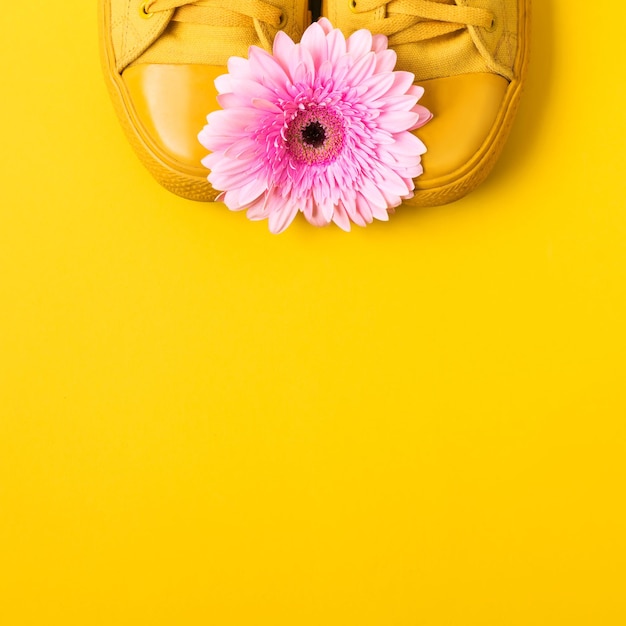 Tênis amarelo e flor rosa gerbera. Layout mínimo para redes sociais com lugar para texto ou produto.