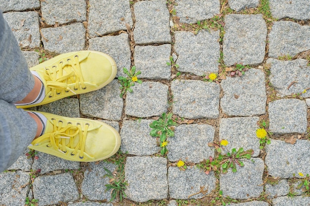 Tênis amarelos em um caminho de pedra de pavimentação com flores amarelas da primavera no início da primavera e na hora das férias Ponto de vista em primeira pessoa vista superior com ideia de espaço de cópia para plano de fundo ou cartão postal