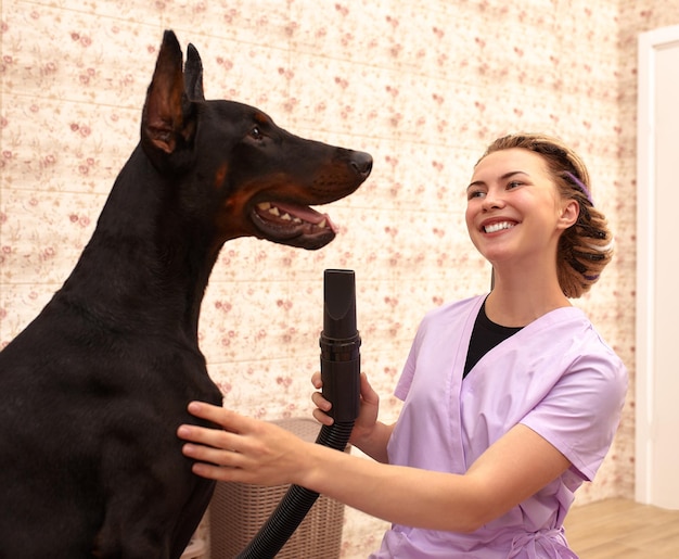 Terapeuta feminino trabalhando com cachorro em clínica veterinária