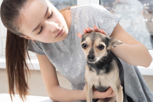 Terapeuta de perros Examen de salud de ese terrier en un hospital veterinario Niña doctora examina a una mascota