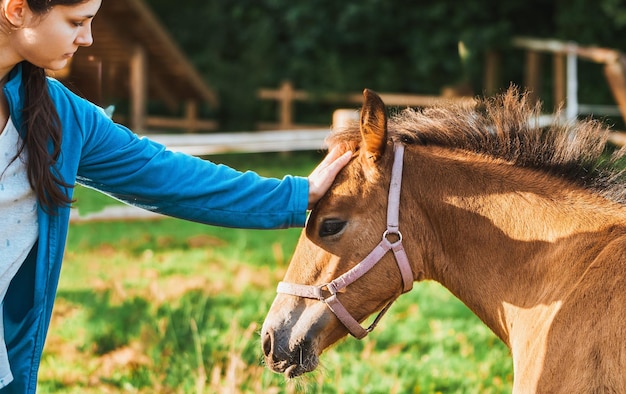Terapia Animal na Natureza Menina e Cavalo Curtindo um Dia de Verão Menina e Cavalo no Prado