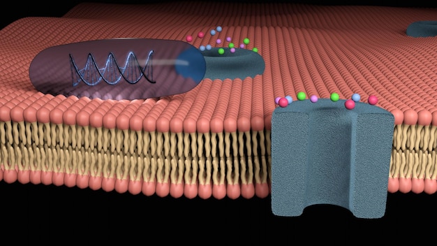 Terapia génica en una cápsula de gelatina blanda transparente sobre una membrana celular tratamiento futuro