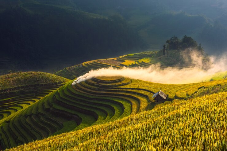 Foto terassenförmig angelegte reisreisfeldlandschaft von mu cang chai, yenbai, nord-vietnam