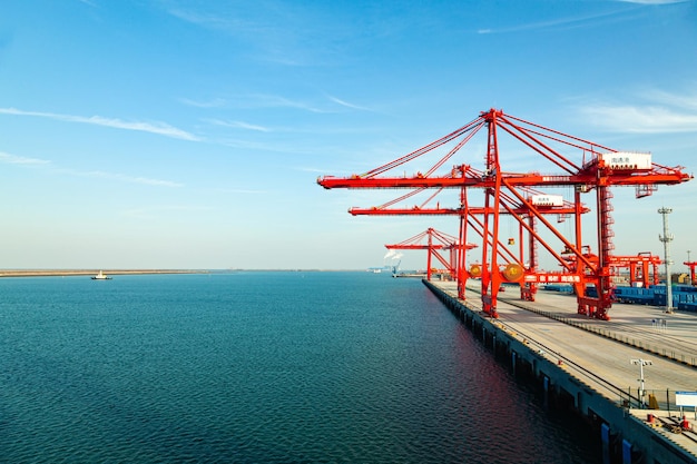 Terminal de contêineres com guindastes e contêineres no território do porto marítimo de Nantong China