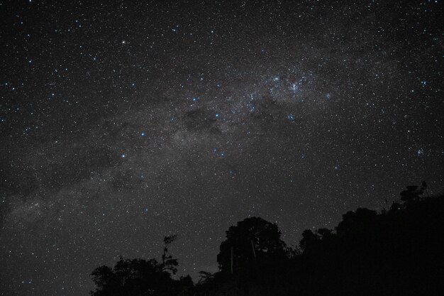 Terra ao vivo visão espacial da Terra