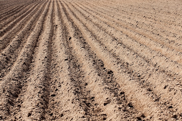 Terra arada, sulcos - campo agrícola que foi arado para o plantio de batata, primavera, sulcos