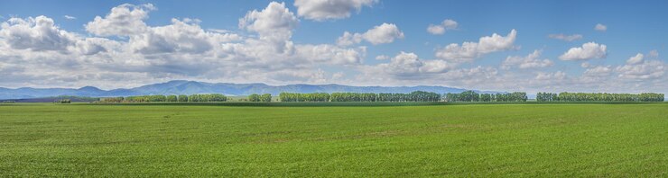Foto terra arável rural paisagem de primavera panorâmica de dia ensolarado
