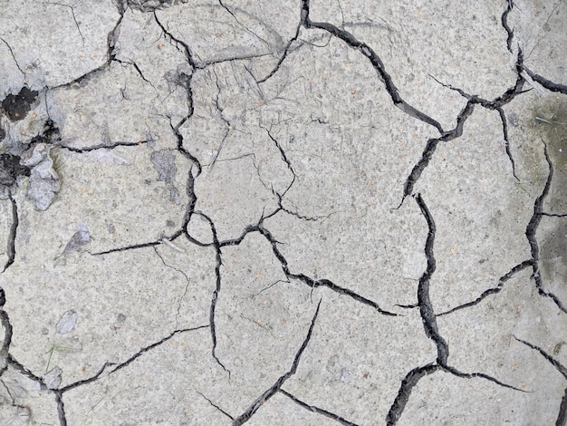 terra cinzenta seca com rachaduras