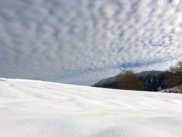 Foto terra coberta de neve contra o céu