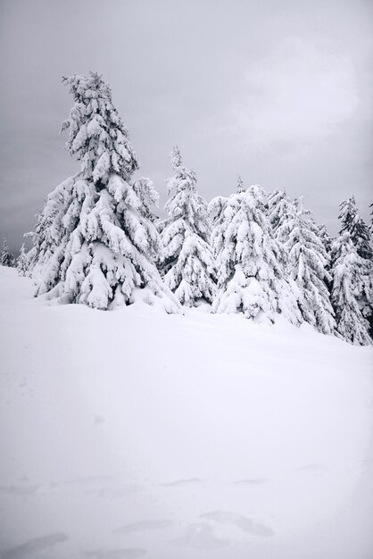 Foto terra coberta de neve contra o céu